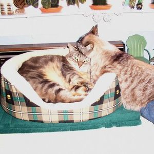 Meet your Posher, Kenneth